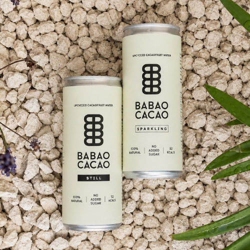 Two cans of BABAO Cacao upcycled cacaofruit water, Still and Sparkling, displayed on a bed of pale stones with green foliage.
