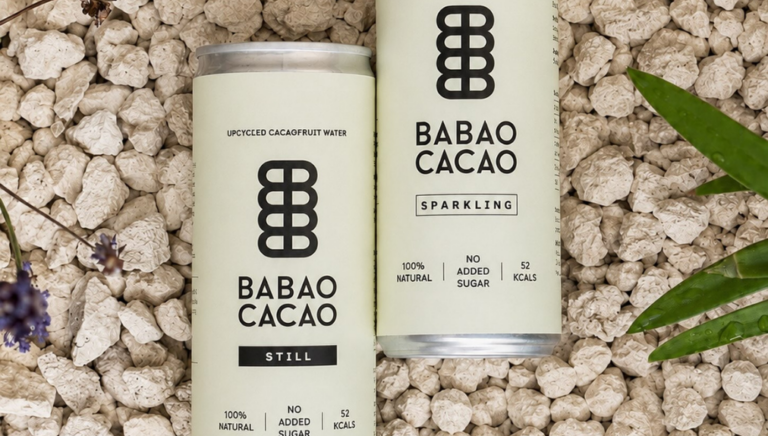 BABAO Cacao Still Cacaofruit Water in a 250ml can, featuring a cream label with black branding, 100% natural and no added sugar.