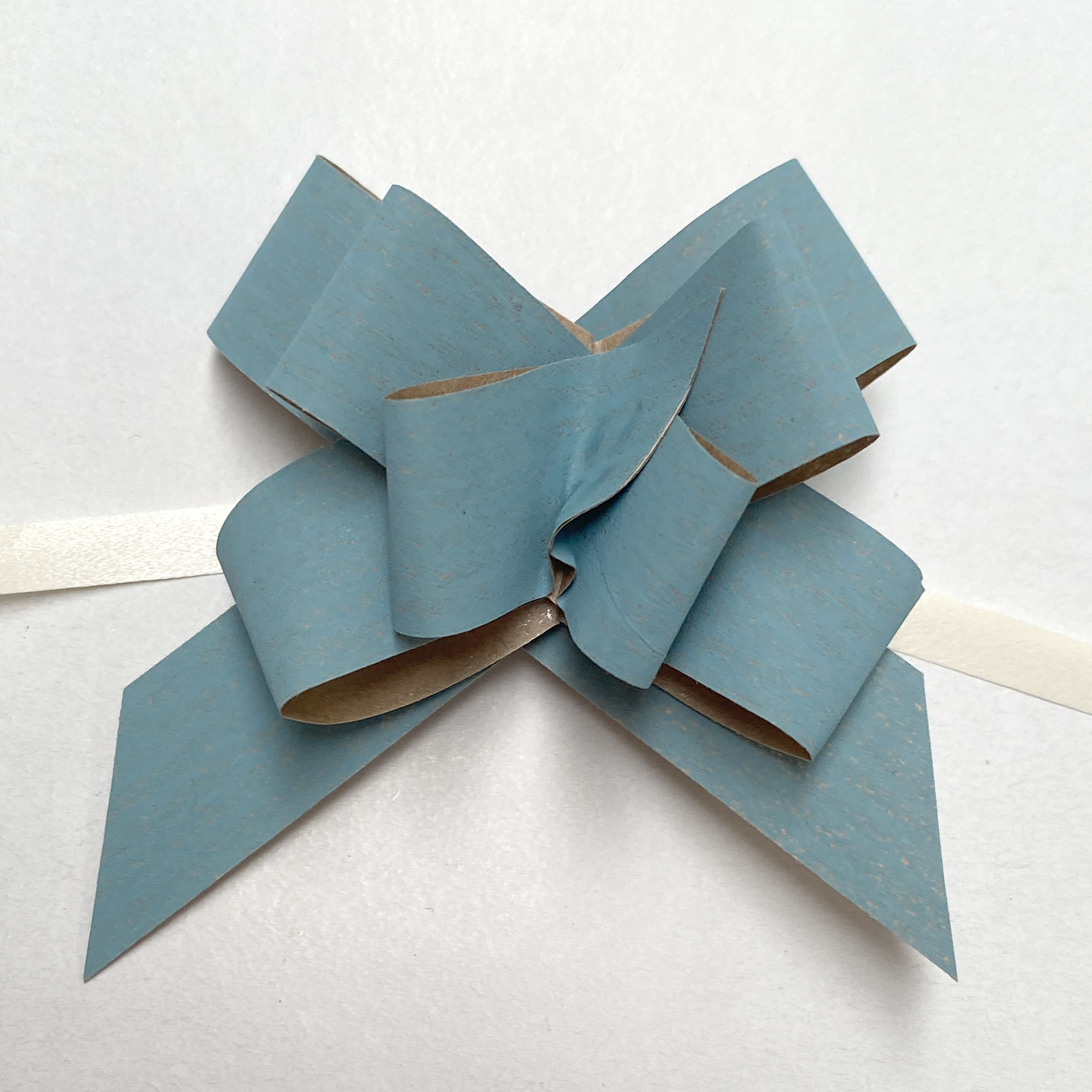SPM4174_1_Pull Bow Ribbon