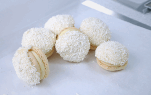 Coconut Square pics (800 x 500 px) (9)