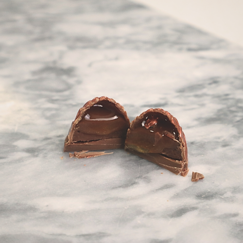 Untitled (500 x 500 px) (1)