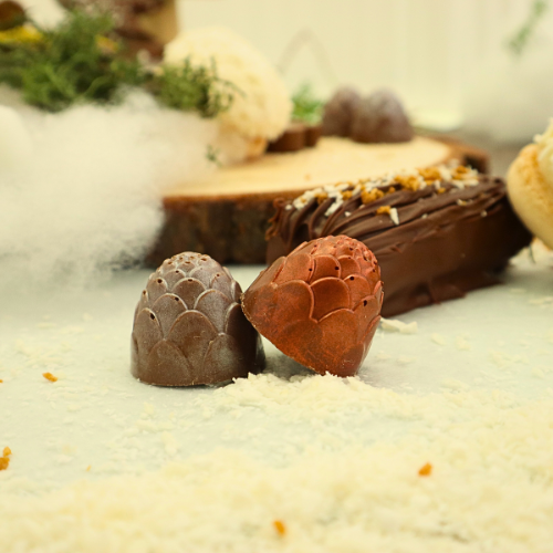 Untitled (500 x 500 px) (7)