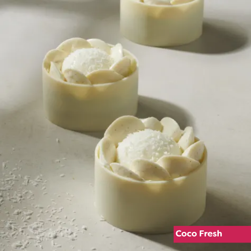 Untitled (500 x 500 px) (18)