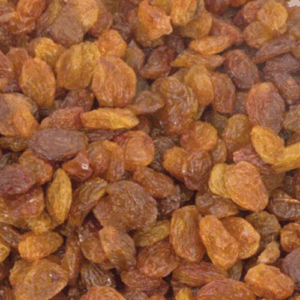 Untitled design (61)